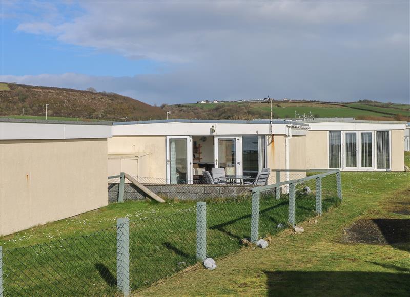 This is the garden at Shipwreck Chalet, Kidwelly