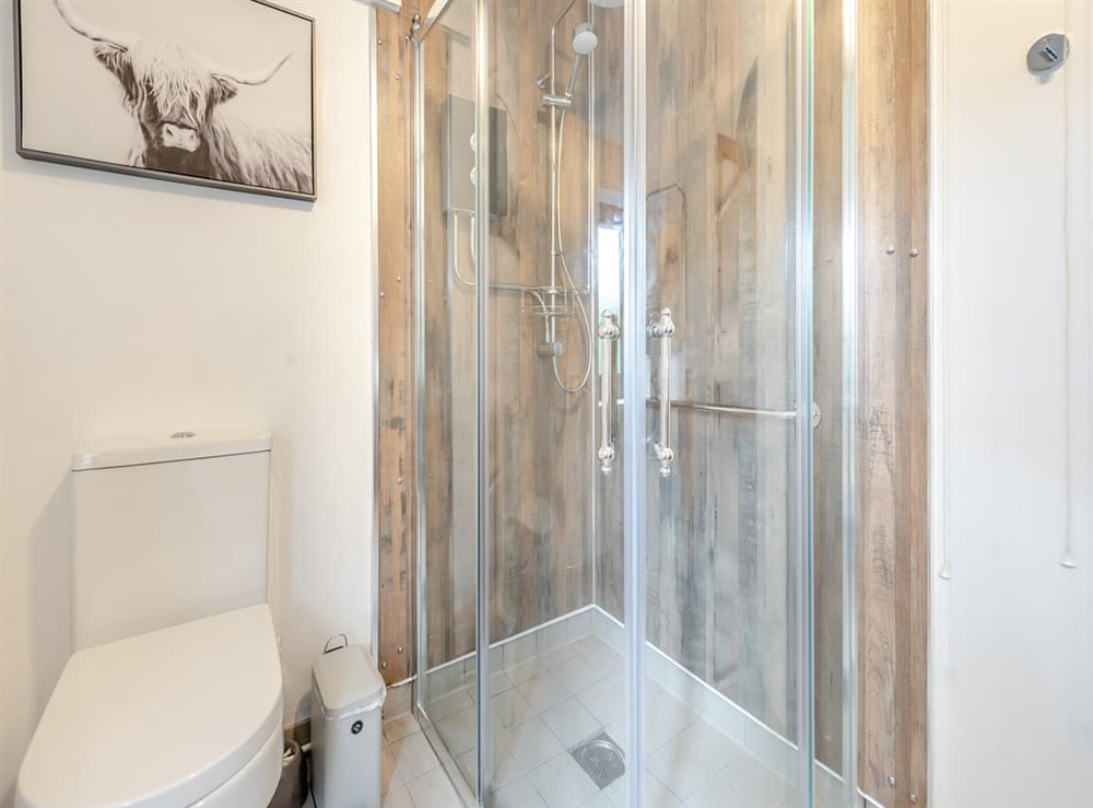 Bathroom (photo 2) at Shire in Cribyn, Lampeter, Dyfed