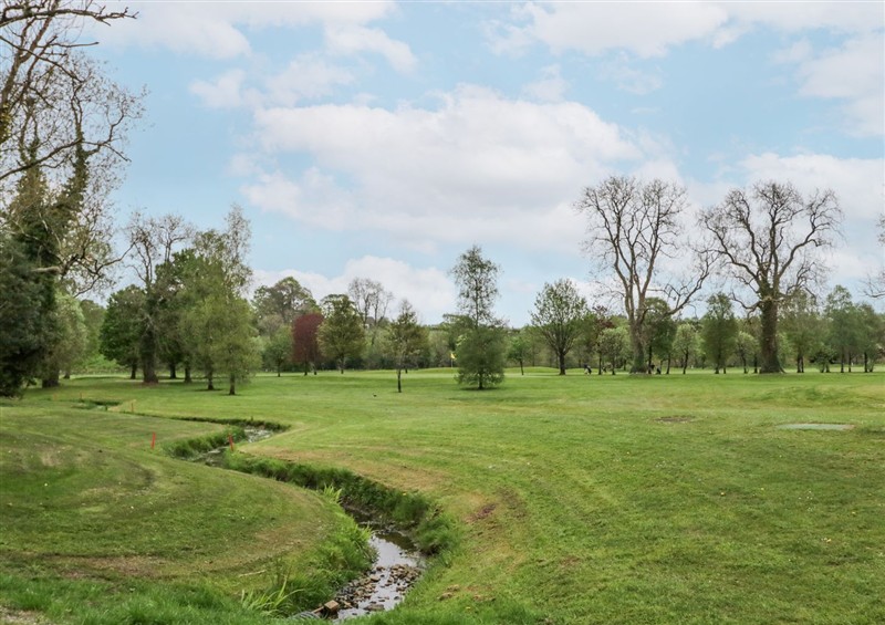 Enjoy the garden (photo 2) at Shirleys House, Omagh