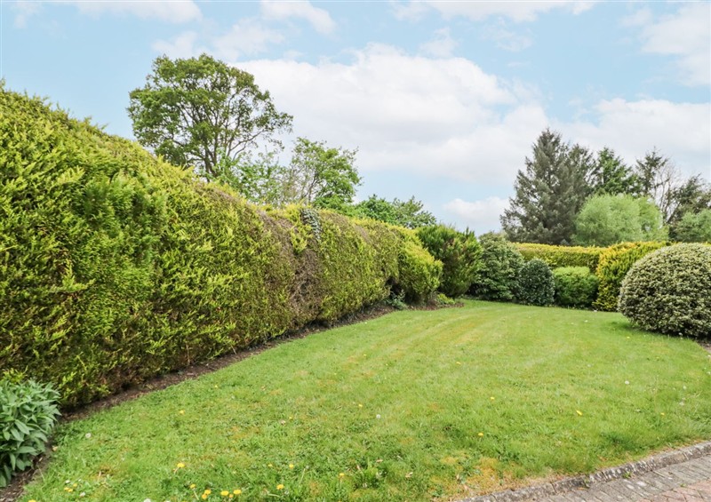 Enjoy the garden at Shirleys House, Omagh