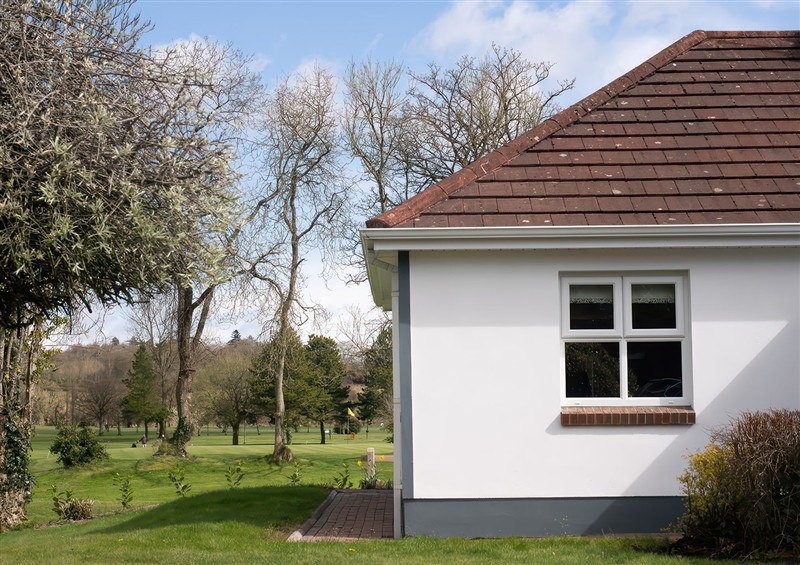The garden in Shirley's House at Shirleys House, Omagh