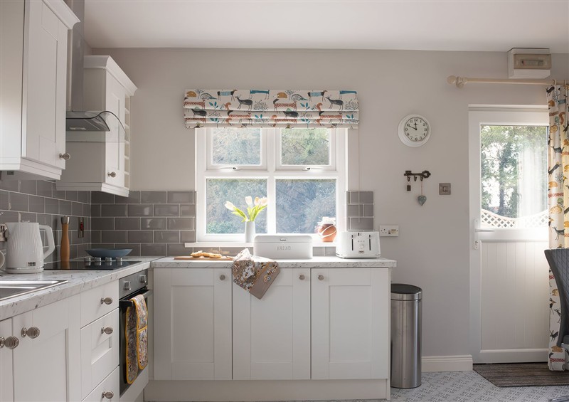 This is the kitchen at Shirleys House, Omagh