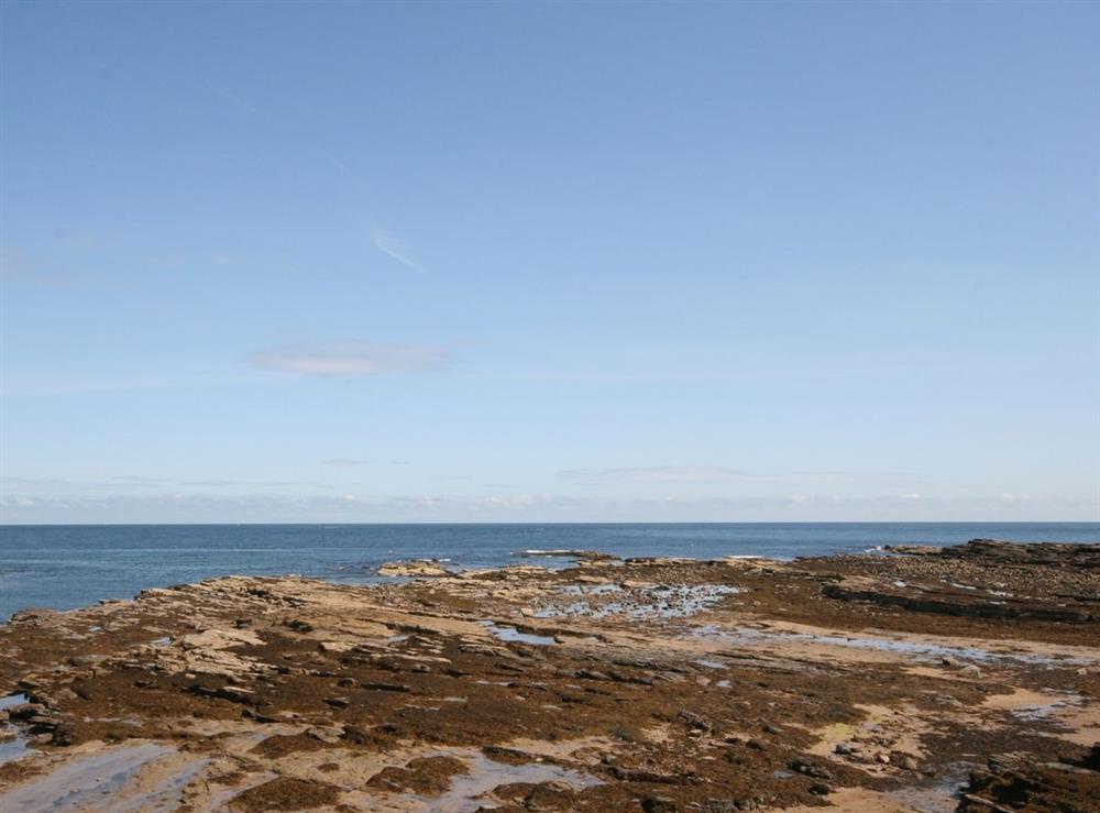 A photo of Shorestone