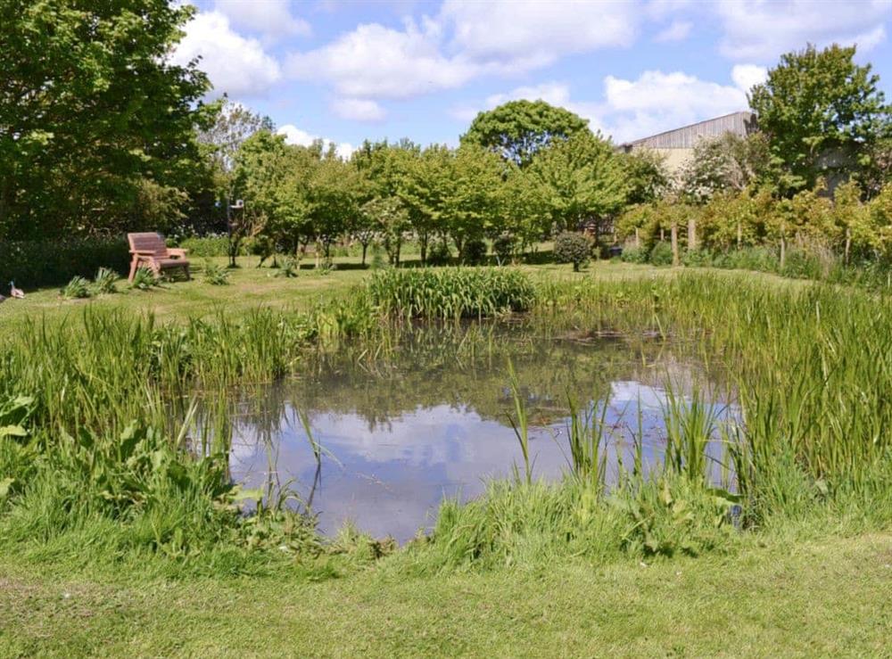 Pond at Shyre Stable in Bempton, near Flamborough, North Humberside
