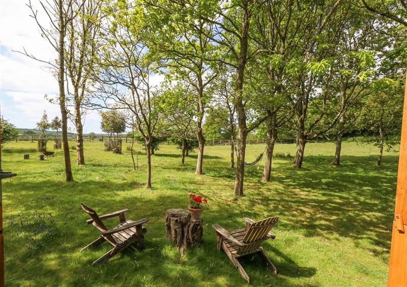 Enjoy the garden at Sika, Warmwell
