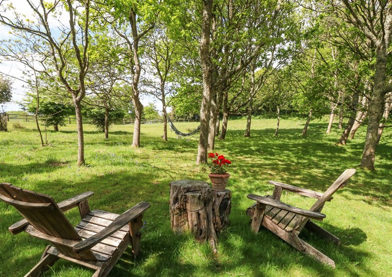 This is the garden (photo 2) at Sika, Warmwell