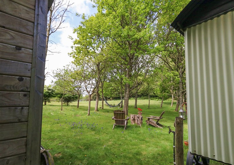 This is the garden (photo 3) at Sika, Warmwell