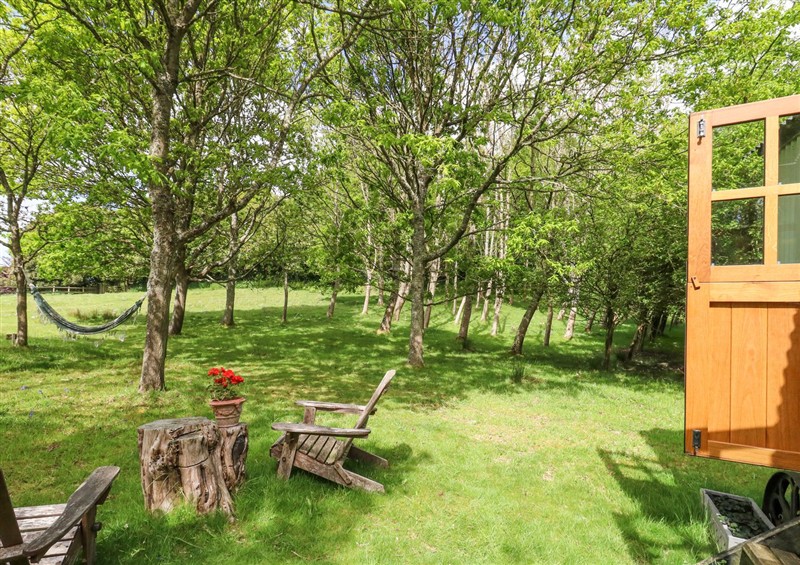 This is the garden at Sika, Warmwell