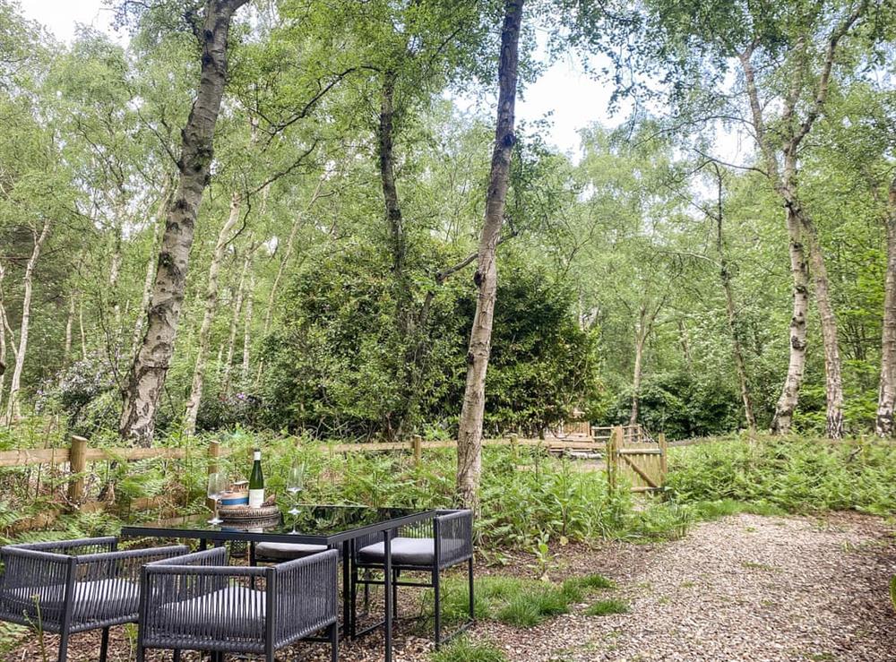 Garden and grounds at Silver Birches in Kelling Heath, Norfolk