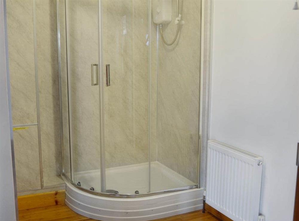 Well presented en-suite shower room at Silver Dee in Crossmichael, near Castle Douglas, Dumfries and Galloway, Kirkcudbrightshire