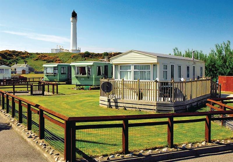 The park setting at Silver Sands Holiday Park in Lossiemouth, Moray, Northern Highlands