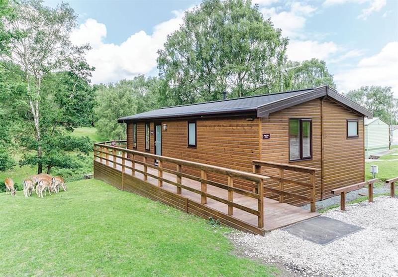 Stags View Lodge (photo number 2) at Silver Trees in , Cannock Chase