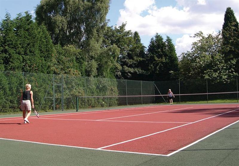 Tennis court at Silver Trees in , Cannock Chase