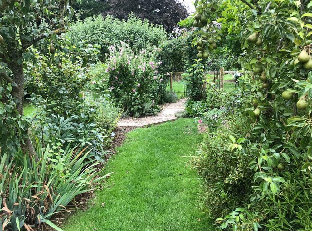 Extensive garden at Simpers Drift in Great Glenham, near Framlingham, Suffolk