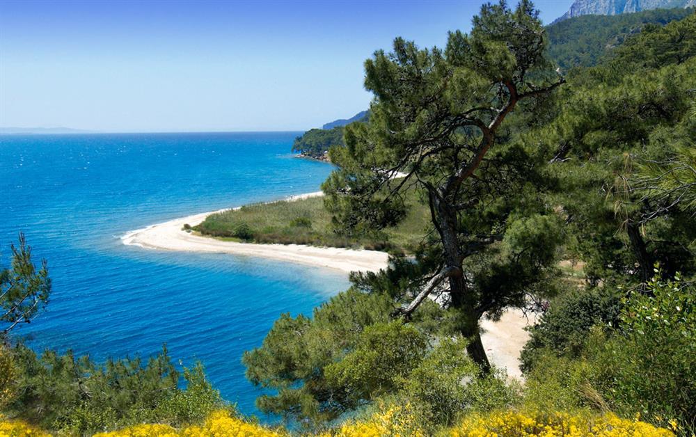 A photo of Akyaka at Simpson Secret