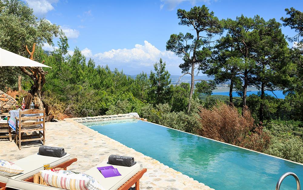A photo of Akyaka at Simpson Secret