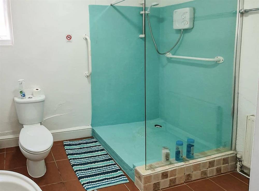 Shower room at Singer House Apartment in Paignton, Devon