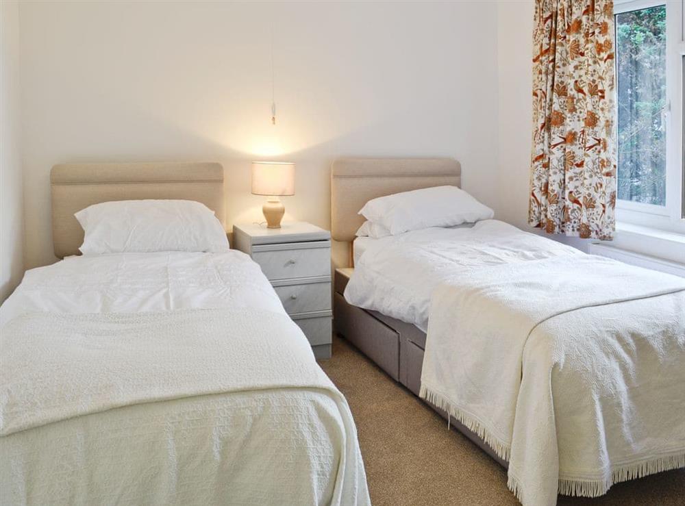 Twin bedroom at Sisial Y Llyn in Bala, Gwynedd