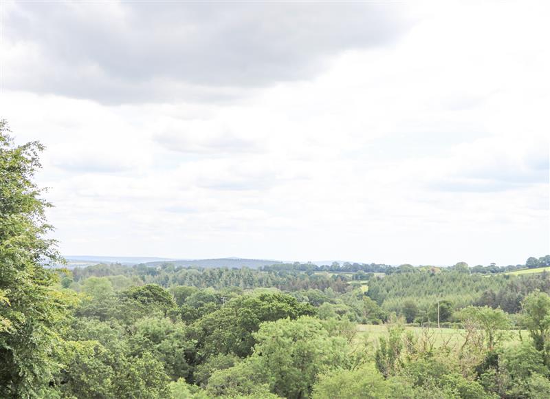 Rural landscape