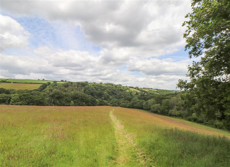 The setting around Skiber Coombe