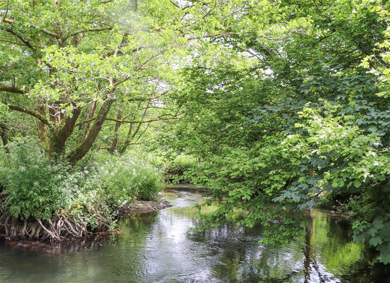 The setting around Skiber Coombe