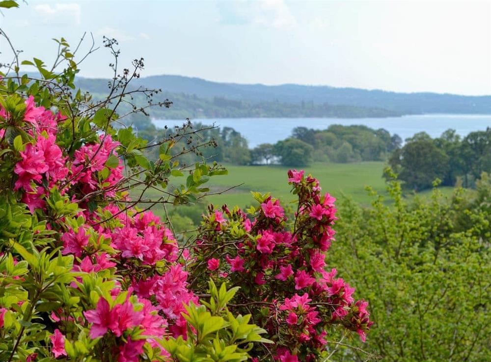 Delightful lake views at Skiddaw Apartment in Ambleside, Cumbria