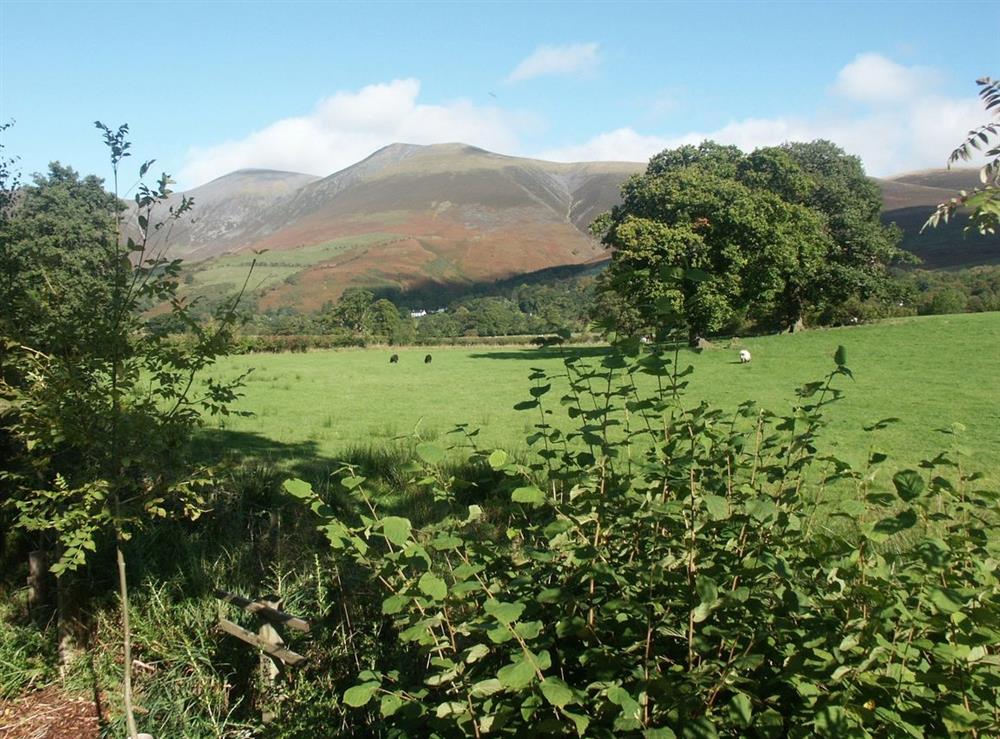 A photo of Burnside Park at Skiddaw Lodge