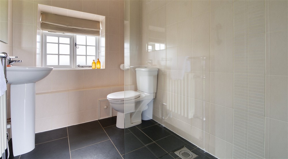 The wet room (photo 2) at Skipper's Cabin in Padstow, Cornwall