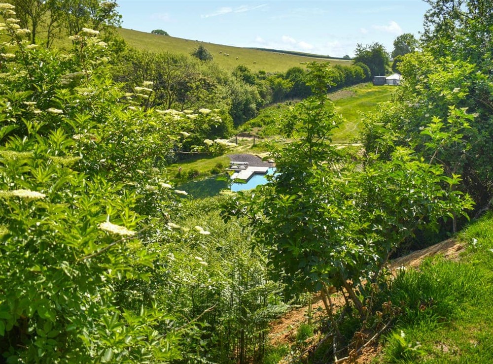 Surrounding area at Skylark Yurt in Beaminster, Dorset