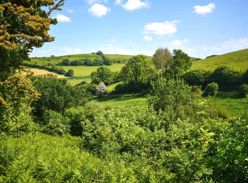 View at Skylark Yurt in Beaminster, Dorset