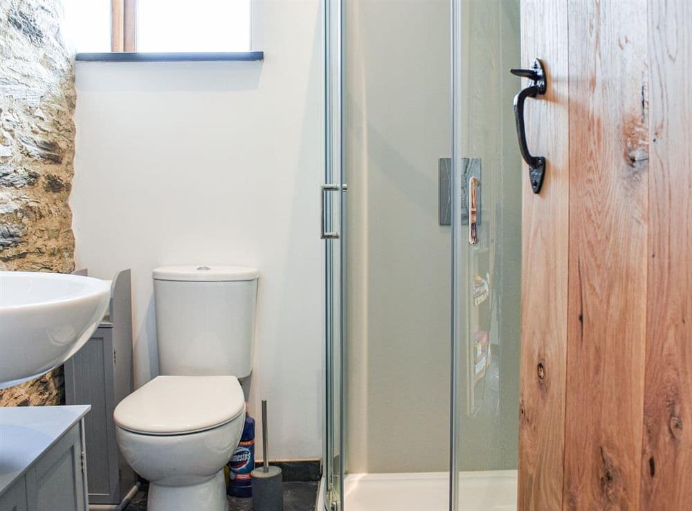 Shower room at Slade Cottage in Brayford, Devon