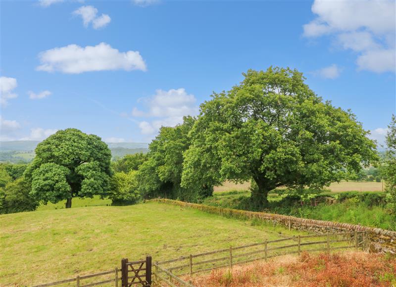 Rural landscape