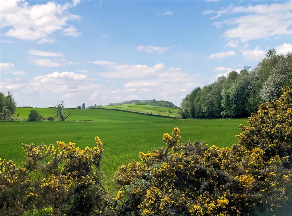 Surrounding area at Smiddy Cottage in Alyth, Perthshire