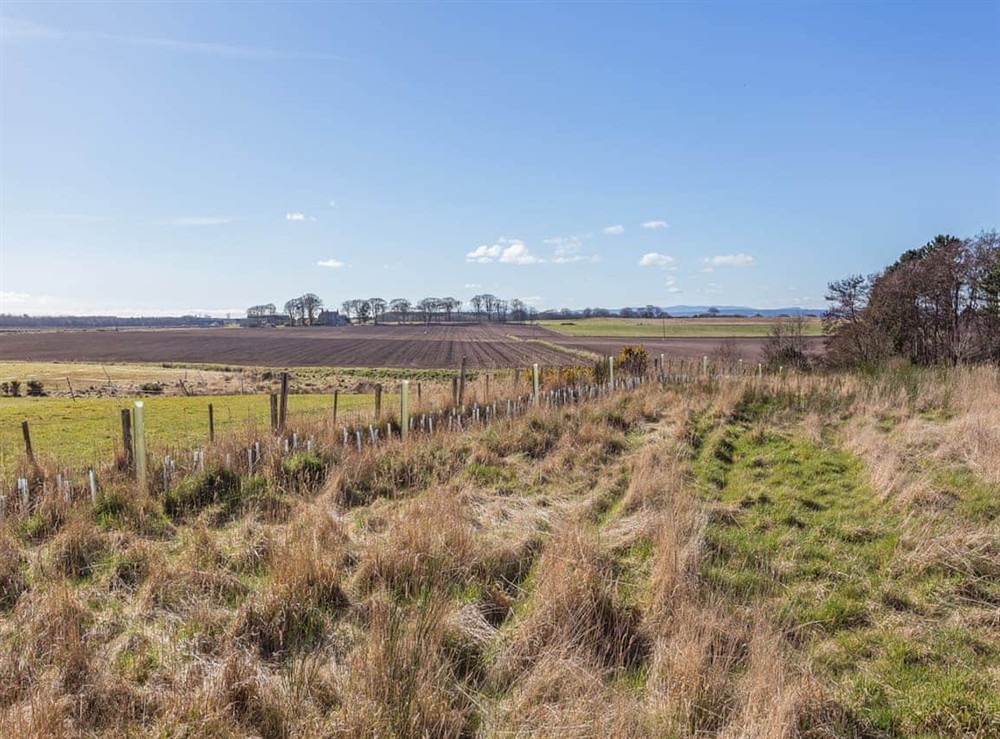 View at Smiddy Cottage in Portmahomack, Ross-Shire