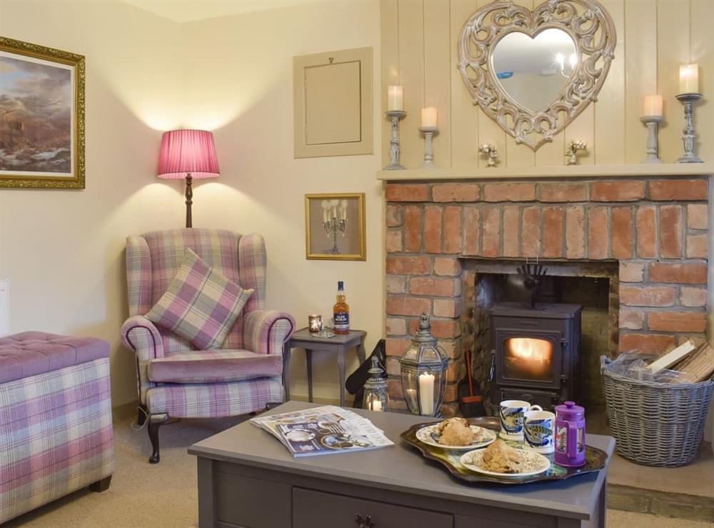 Warming wood burner within living room at Smiddy Cottage in Weem, near Aberfeldy, Perthshire