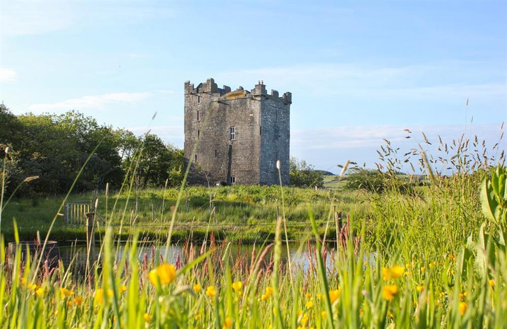 Smiths Castle at Smiths Castle in , Ireland