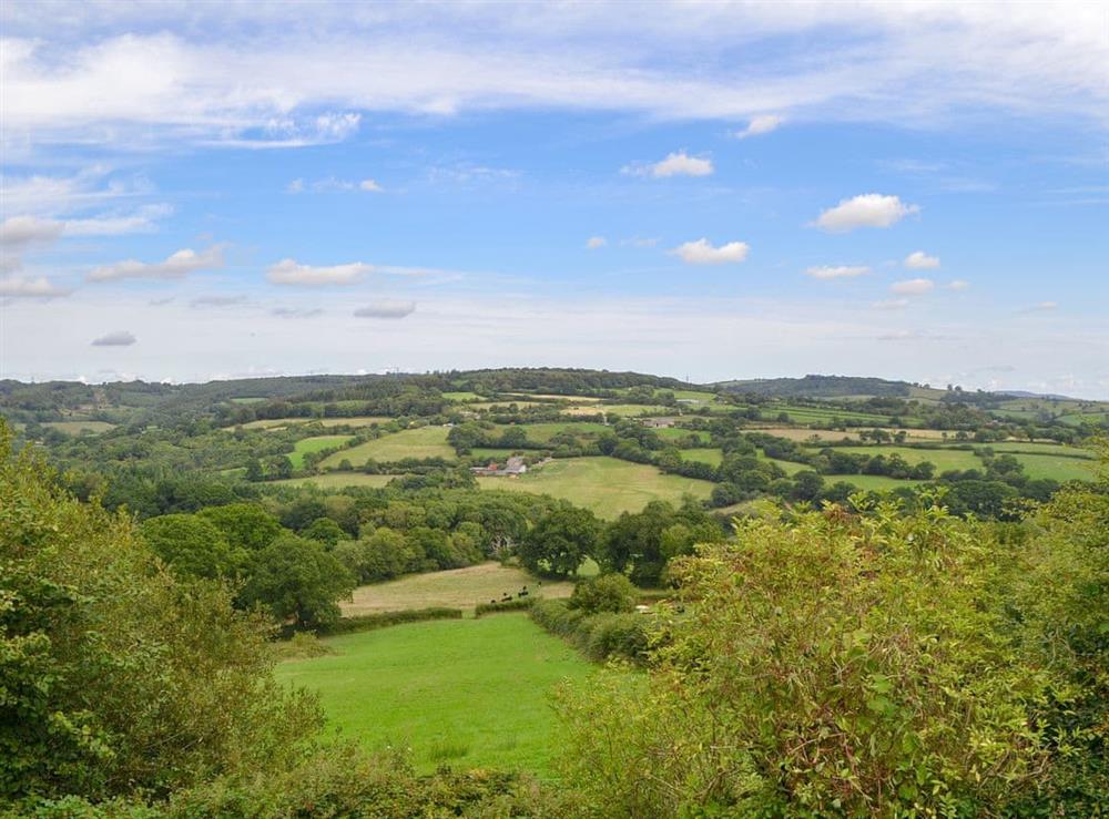 Overlooking Marshwood Vale rolling countryside at The Barn, 