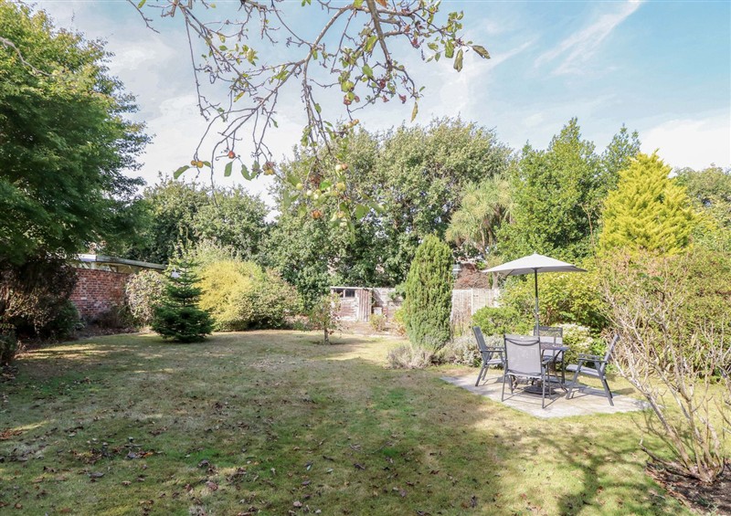 The garden at Smugglers Cottage, Barton On Sea