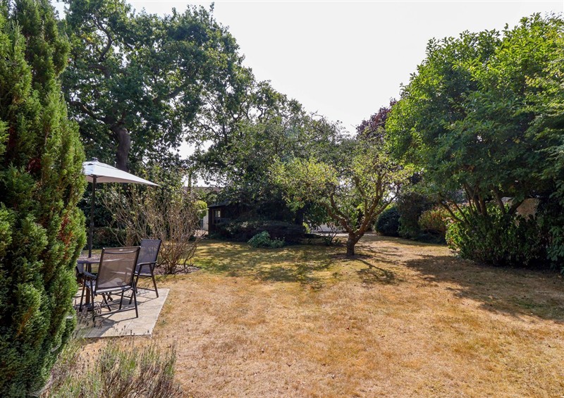 This is the garden at Smugglers Cottage, Barton On Sea
