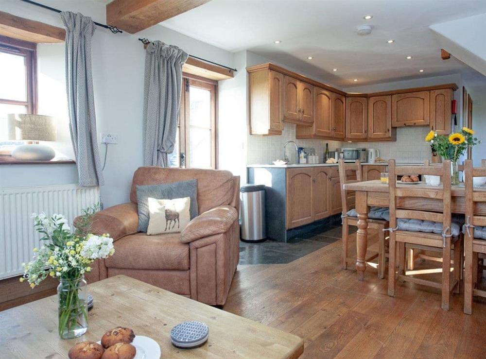 Open plan living space at Smuggler’s Retreat in Hartland Point, Devon