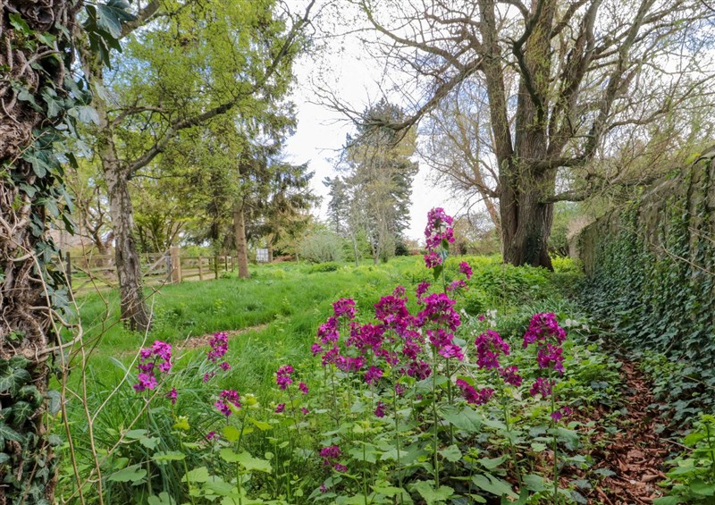 The garden at Snape Castle Garden Lodge, Snape near Bedale