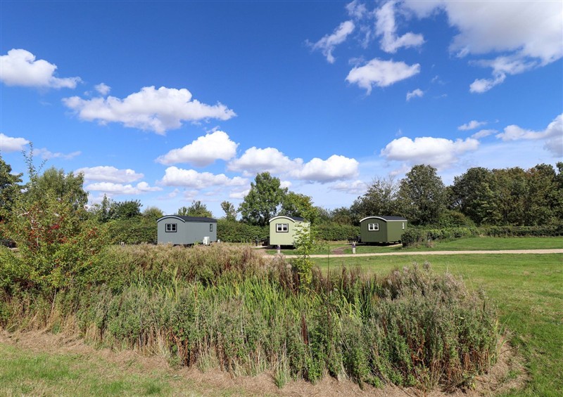 Enjoy the garden at Snowdrop, Ashby-cum-Fenby near Waltham