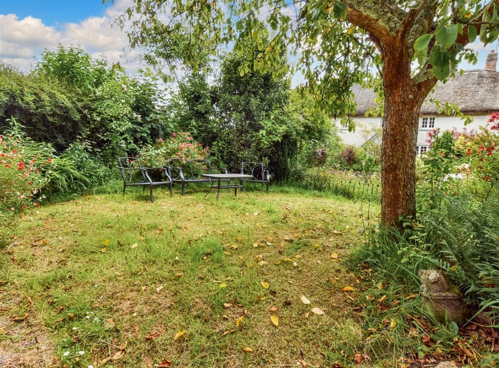 Patio at Snowdrop Cottage in Jacobstowe, near Okehampton, Devon