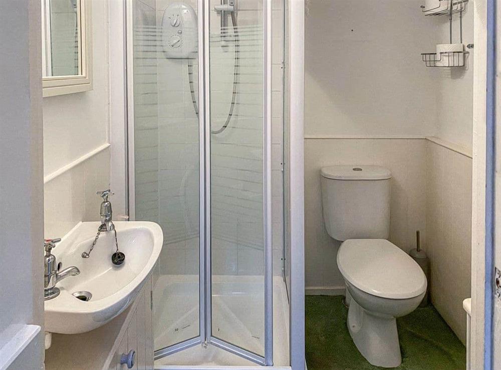 Shower room at Snowdrop Cottage in Lapford, near Chulmleigh, Devon