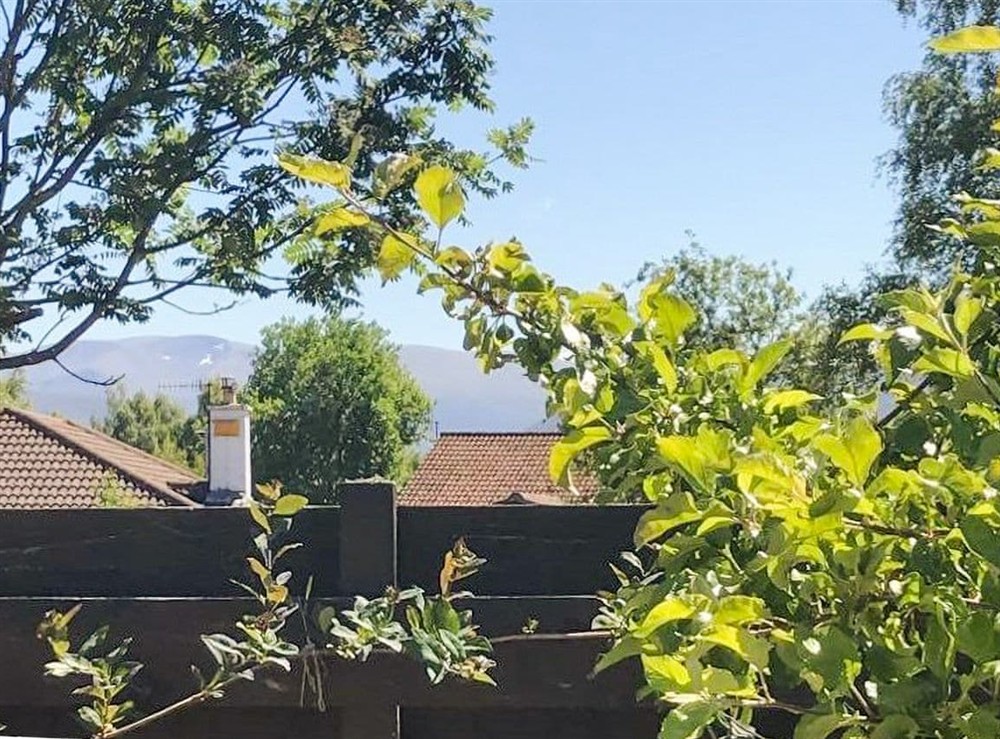 View at Snowy Owl Lodge in Aviemore, Inverness-Shire
