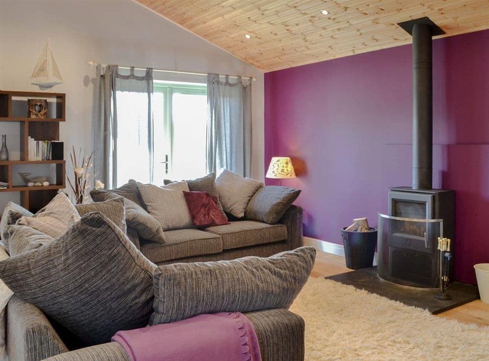 Well presented living area with wood burner at Snowy Owl Lodge in St Columb, near Padstow, Cornwall