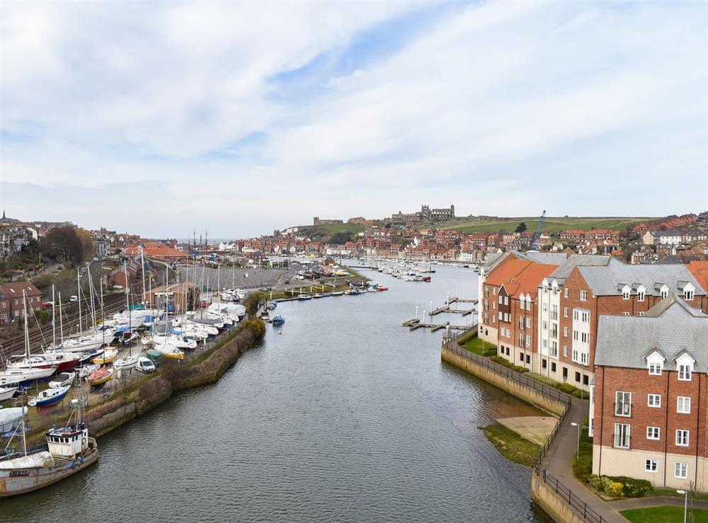 Setting at Snugg in Whitby, North Yorkshire