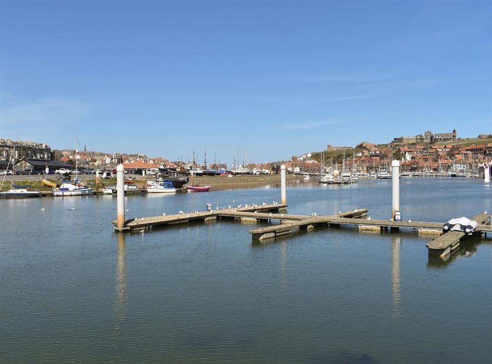 Surrounding area at Snugg in Whitby, North Yorkshire