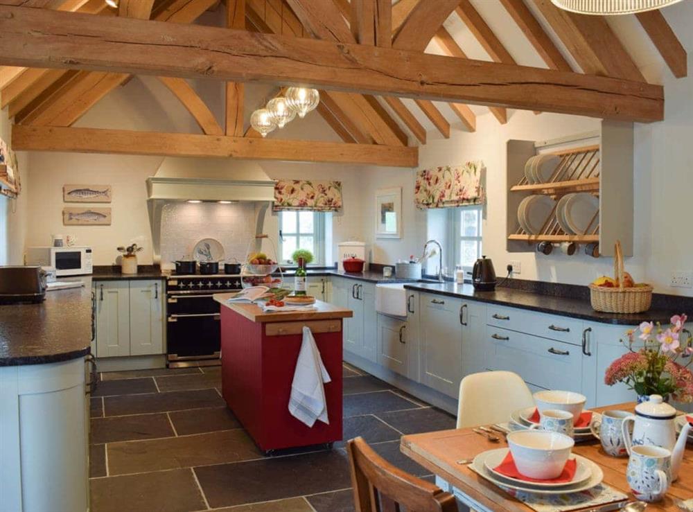 Beautifully appointed kitchen area at Soar Cottage in Dihewyd, near Aberaeron, Ceredigion, Dyfed