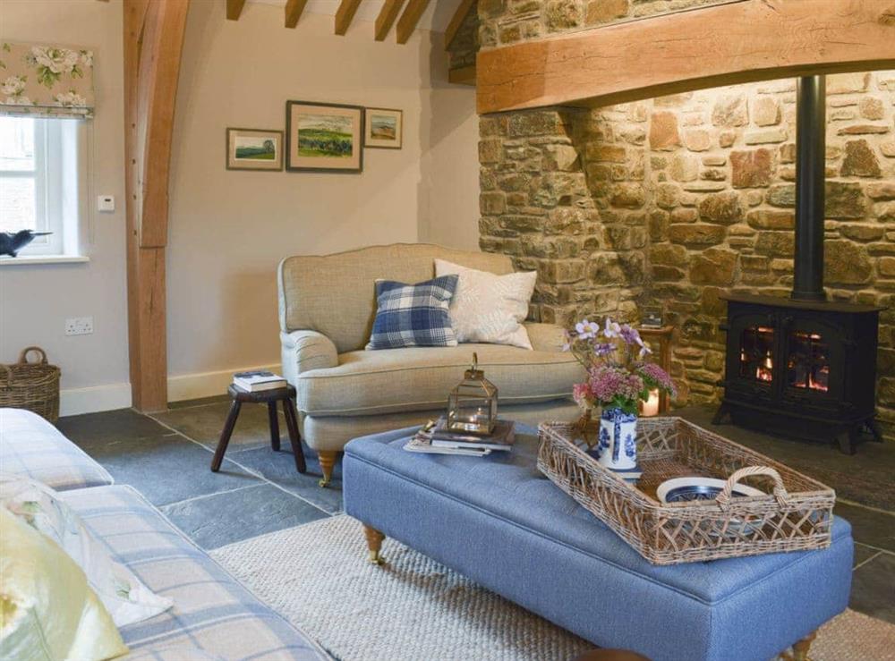 Cosy and inviting living room with gas wood burner at Soar Cottage in Dihewyd, near Aberaeron, Ceredigion, Dyfed